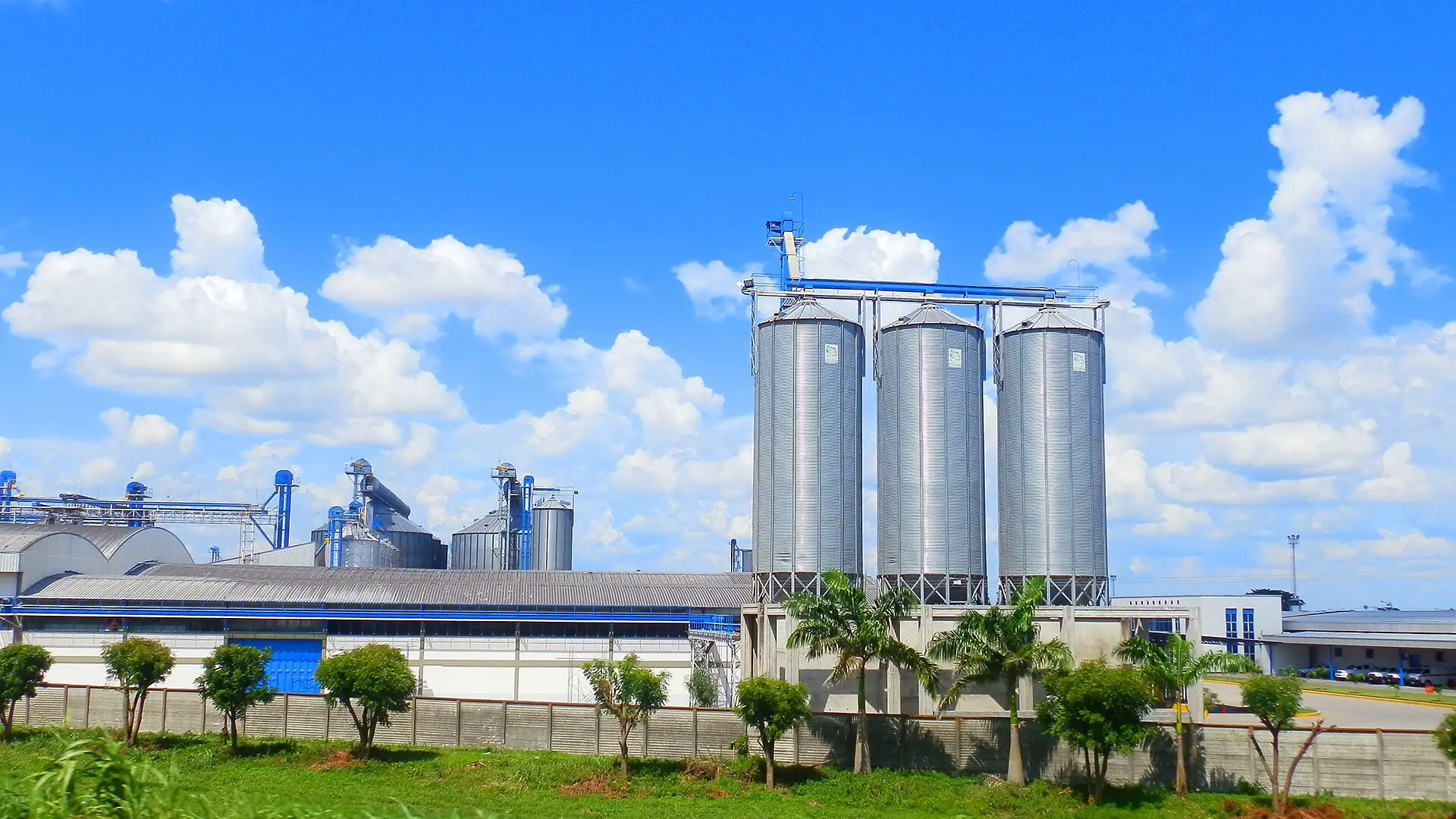 Producción de arroz, Acarigua, Venezuela